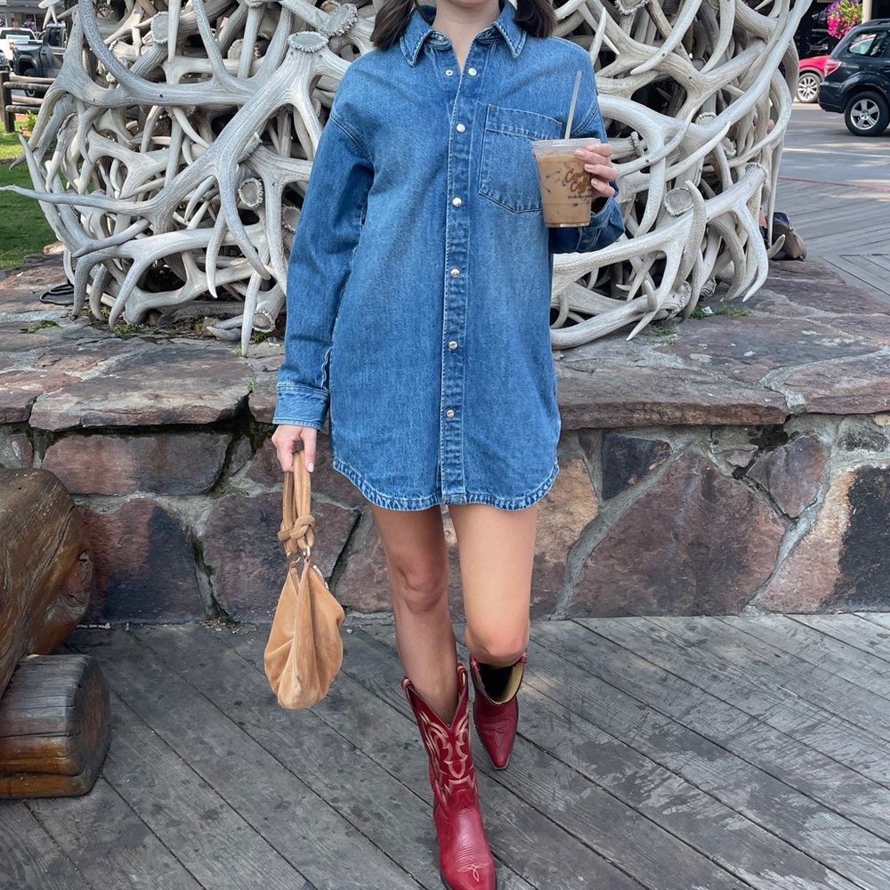 Aritzia Denim Forum | Maya Denim Shirt Dress